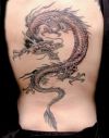 european dragon tattoos on back